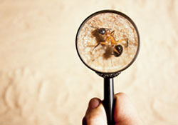 Pest and Termite Inspections in Katy TX